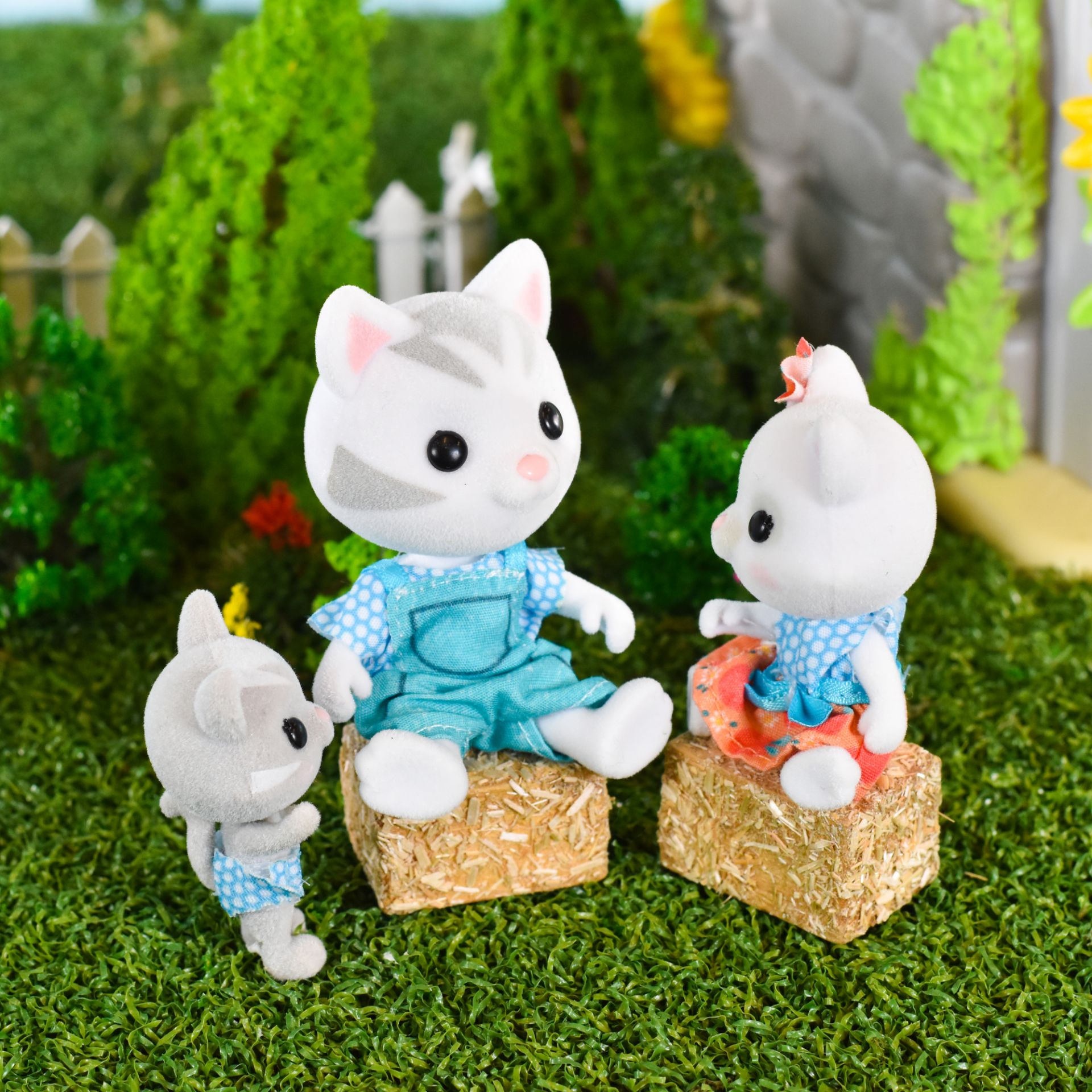 Sunnydays honey bee acres cat family
