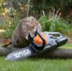 Picture of MAXX ACTION CHAINSAW