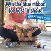 Picture of BLUE RIBBON CHAMPIONS DELUXE QUARTER HORSE
